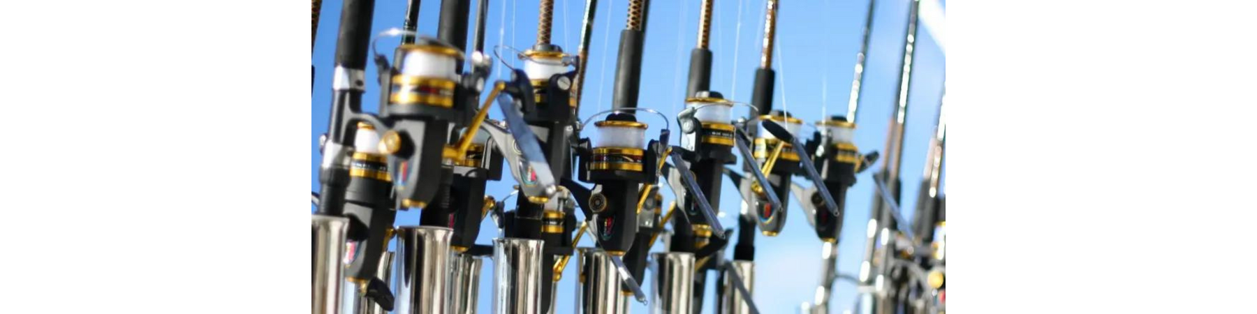 BEGINNER’S GUIDE: Types Of Fishing Reels