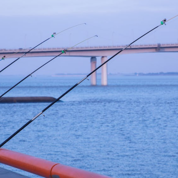 BEGINNER’S GUIDE: Types of Fishing Rods