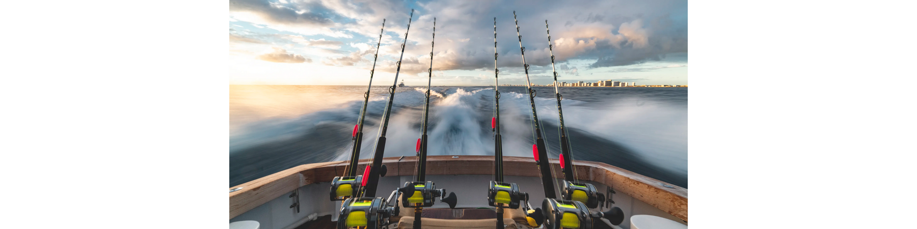 How To Choose The Perfect Fishing Rod For You