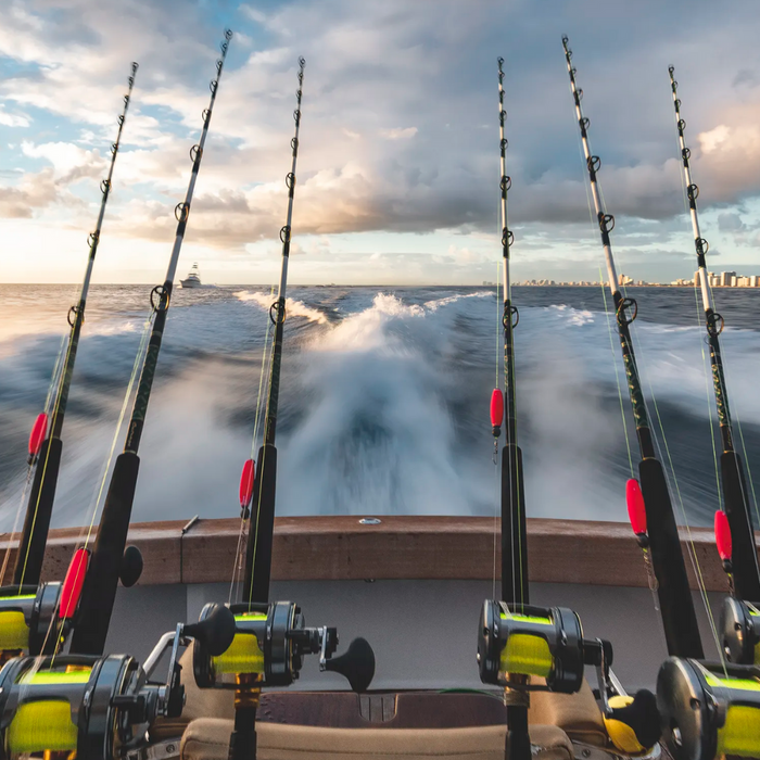 How To Choose The Perfect Fishing Rod For You