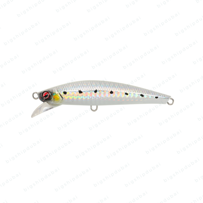 LITTMA Bora Tune 90FS (28g) - Silver Bait