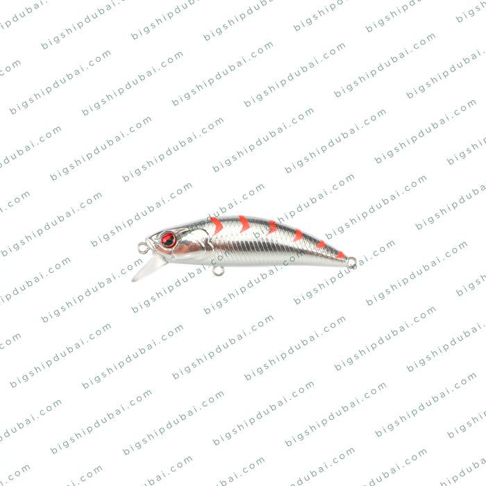 LITTMA Rong 50S (5g)