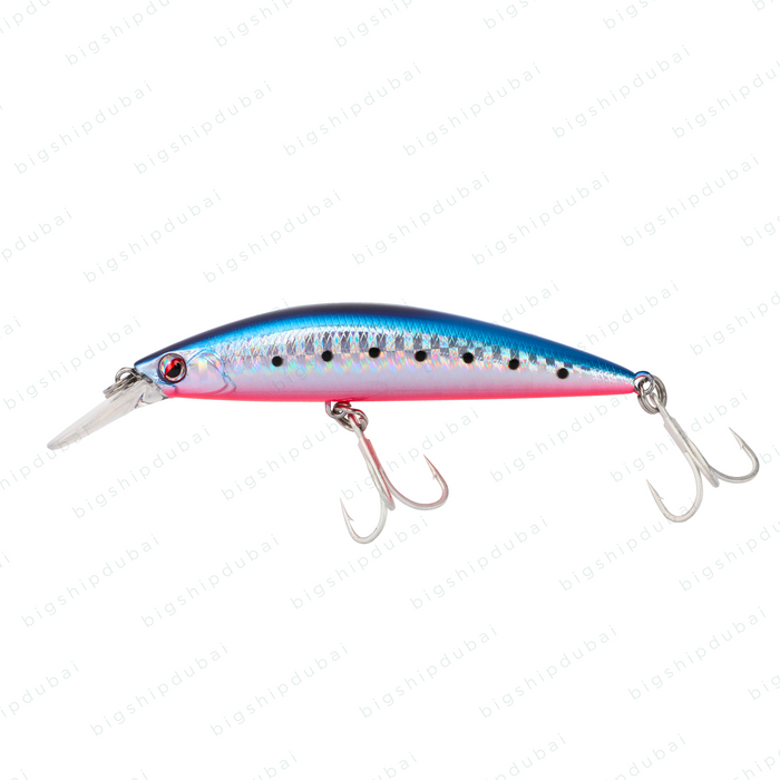 LITTMA Sagoshi 90FS (29g) - Blue Pink Iwashi