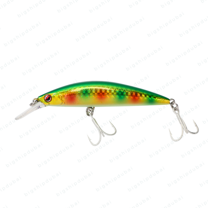 LITTMA Sagoshi 90FS (29g) - Green Gold Rainbow