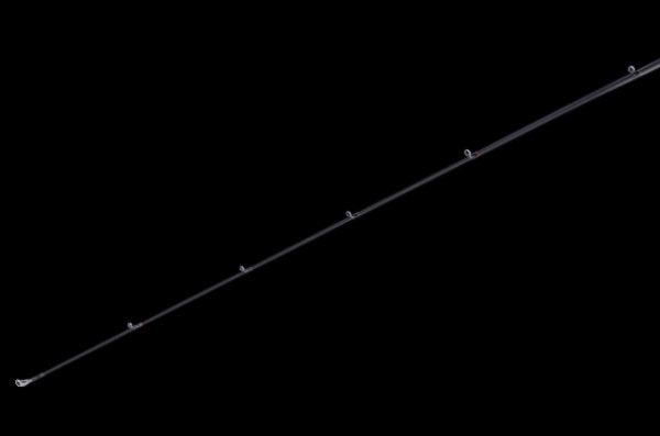 THE ONE Rockfish (Fuji Guide)