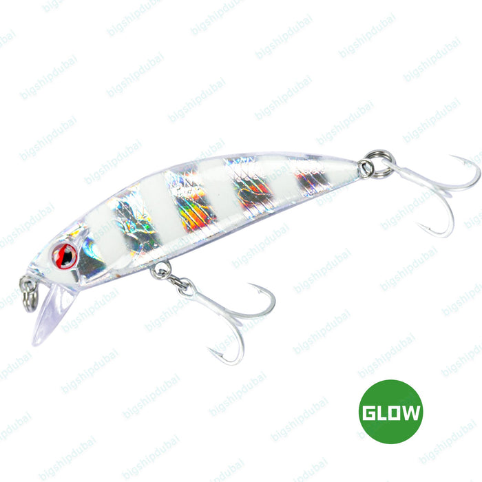 LITTMA Fishing Lure RONG 50S (5g) - Zebra Silver